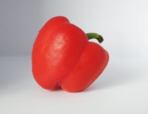 red bell pepper thumbnail
