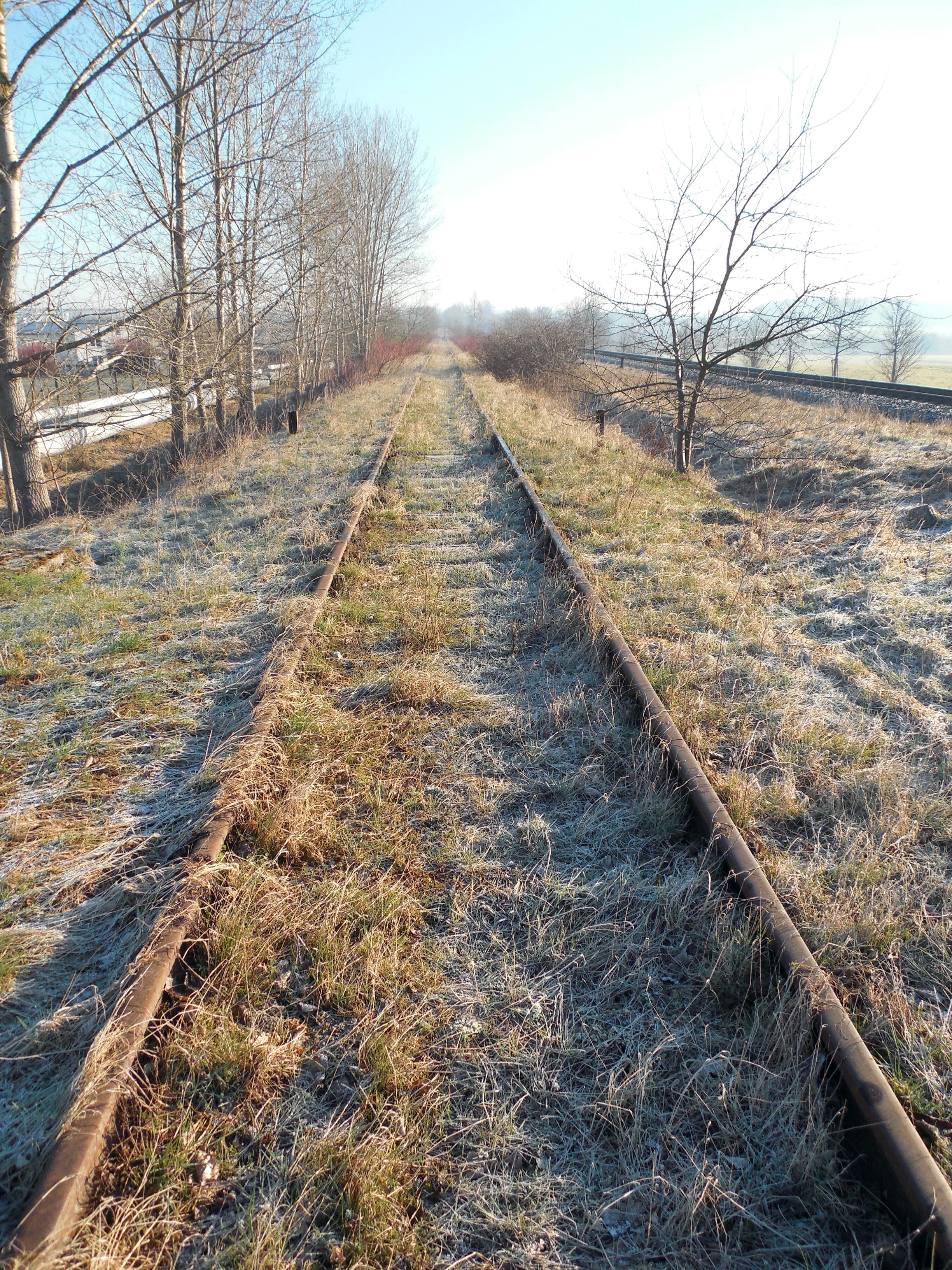 brown railroad surrounded with green grass during daytime