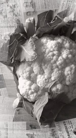 cauliflower thumbnail