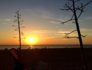 silhouette beach under sunset thumbnail