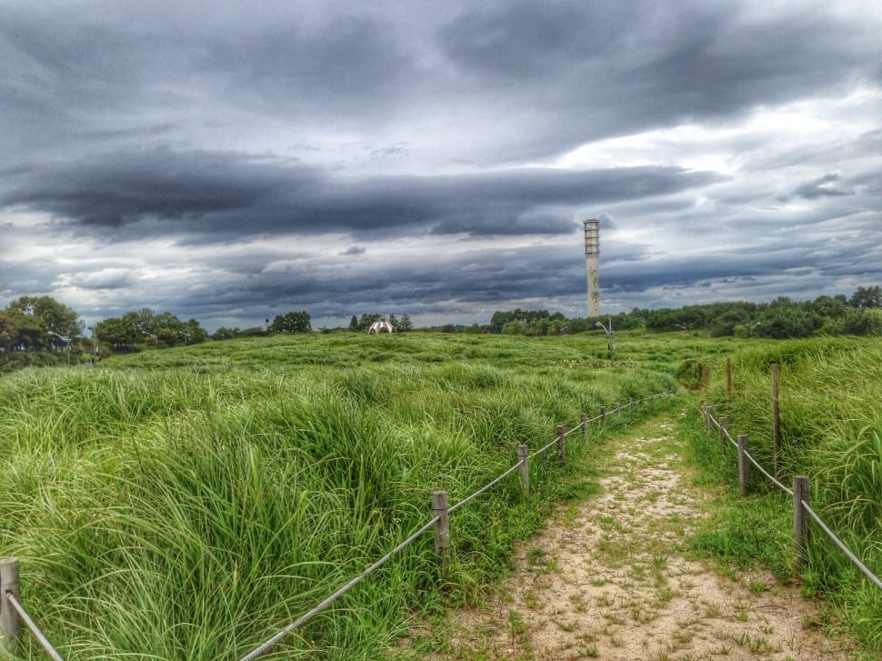 green grass field under grey sky preview