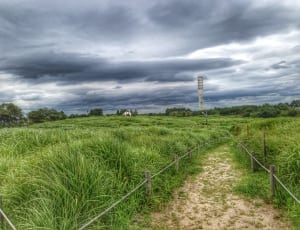 green grass field under grey sky thumbnail