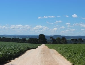 Road, Nature, Farm, agriculture, field thumbnail