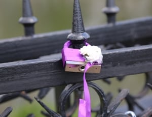 pink and stainless steel padlock thumbnail