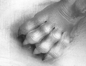 grey animal foot statue thumbnail