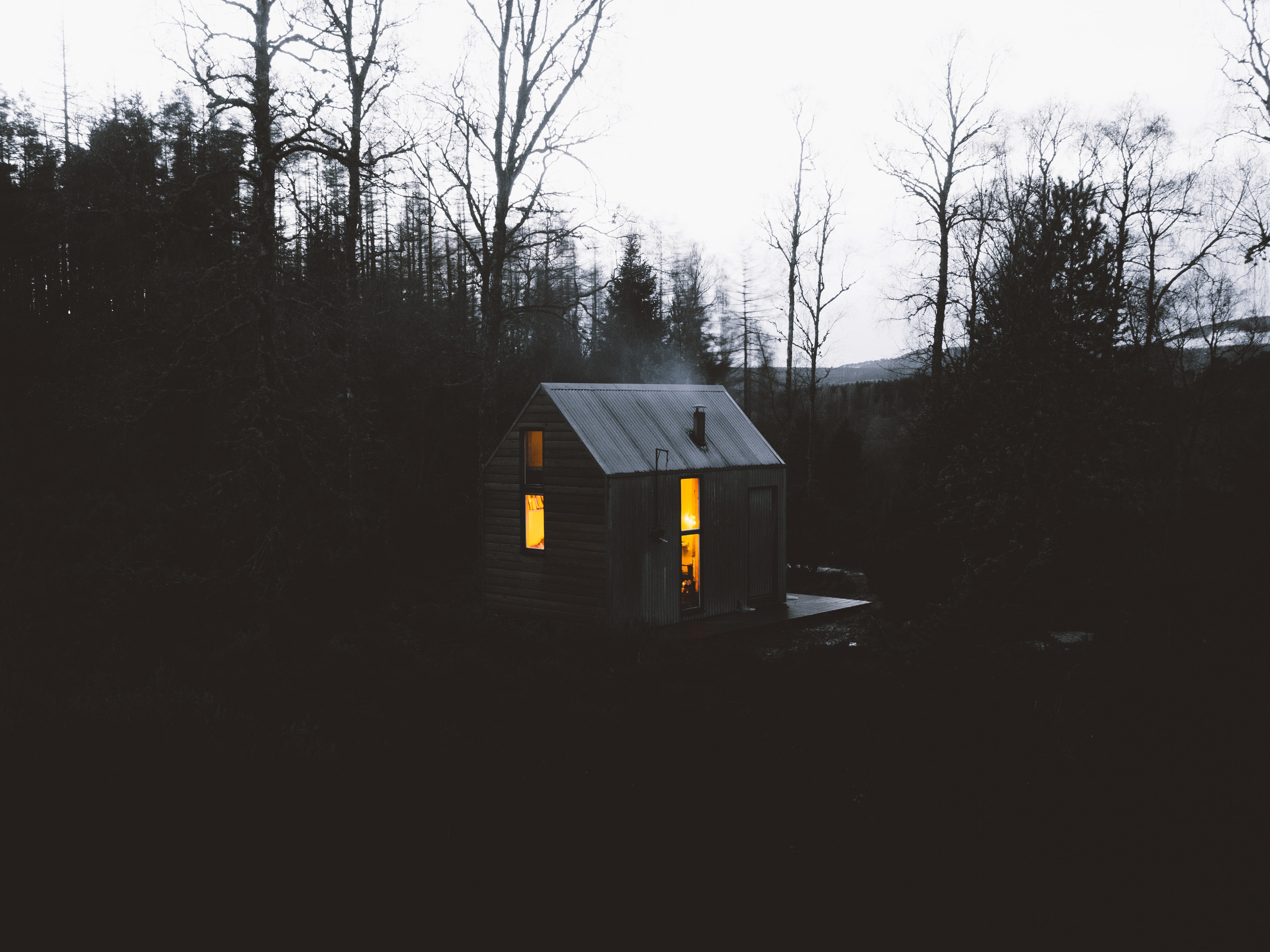 gray wooden house on forest