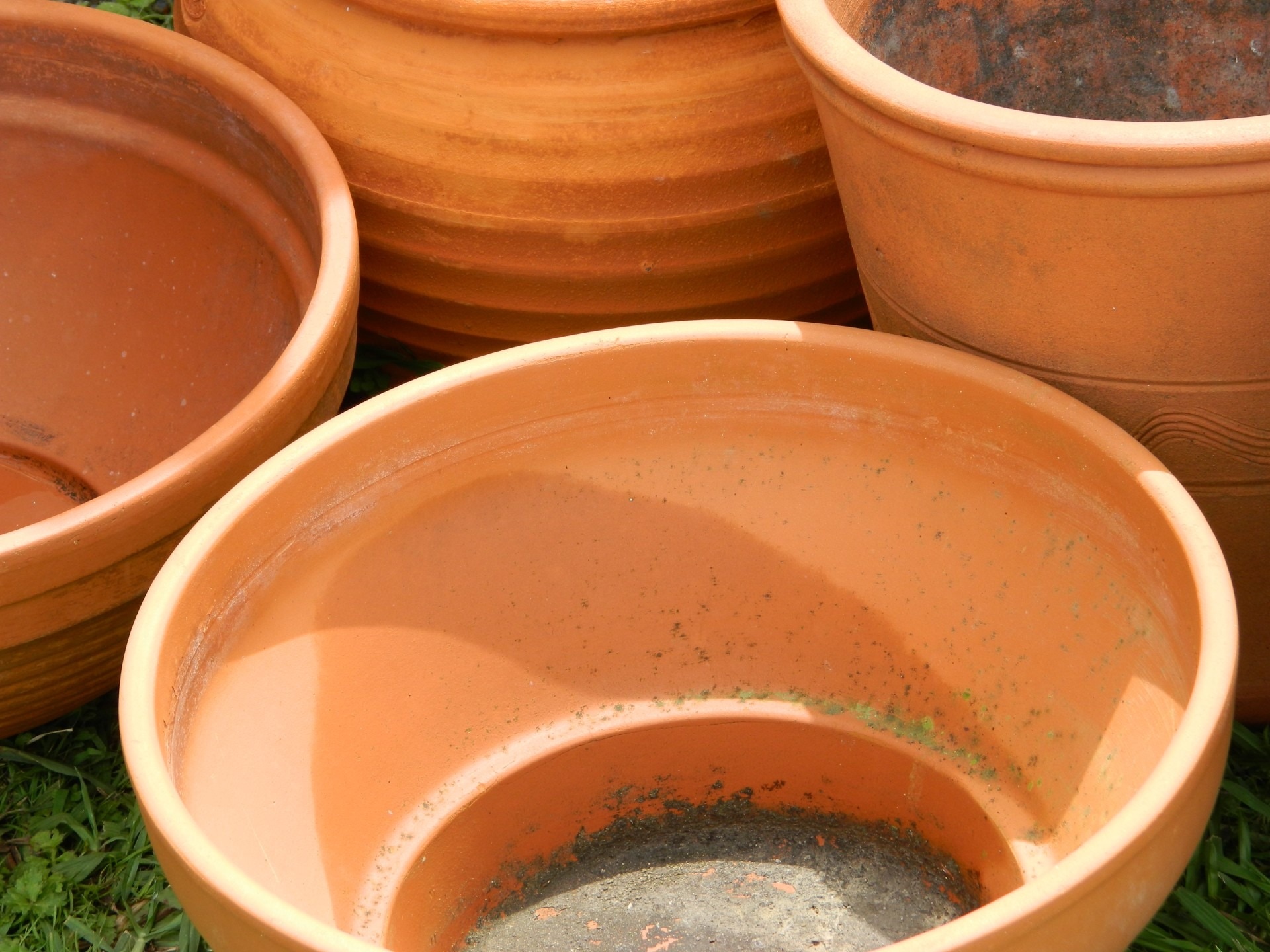 brown clay pot