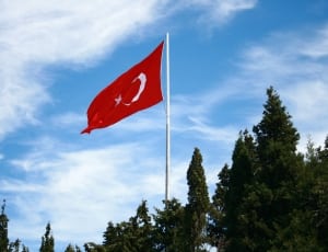 white and red turkey flag thumbnail