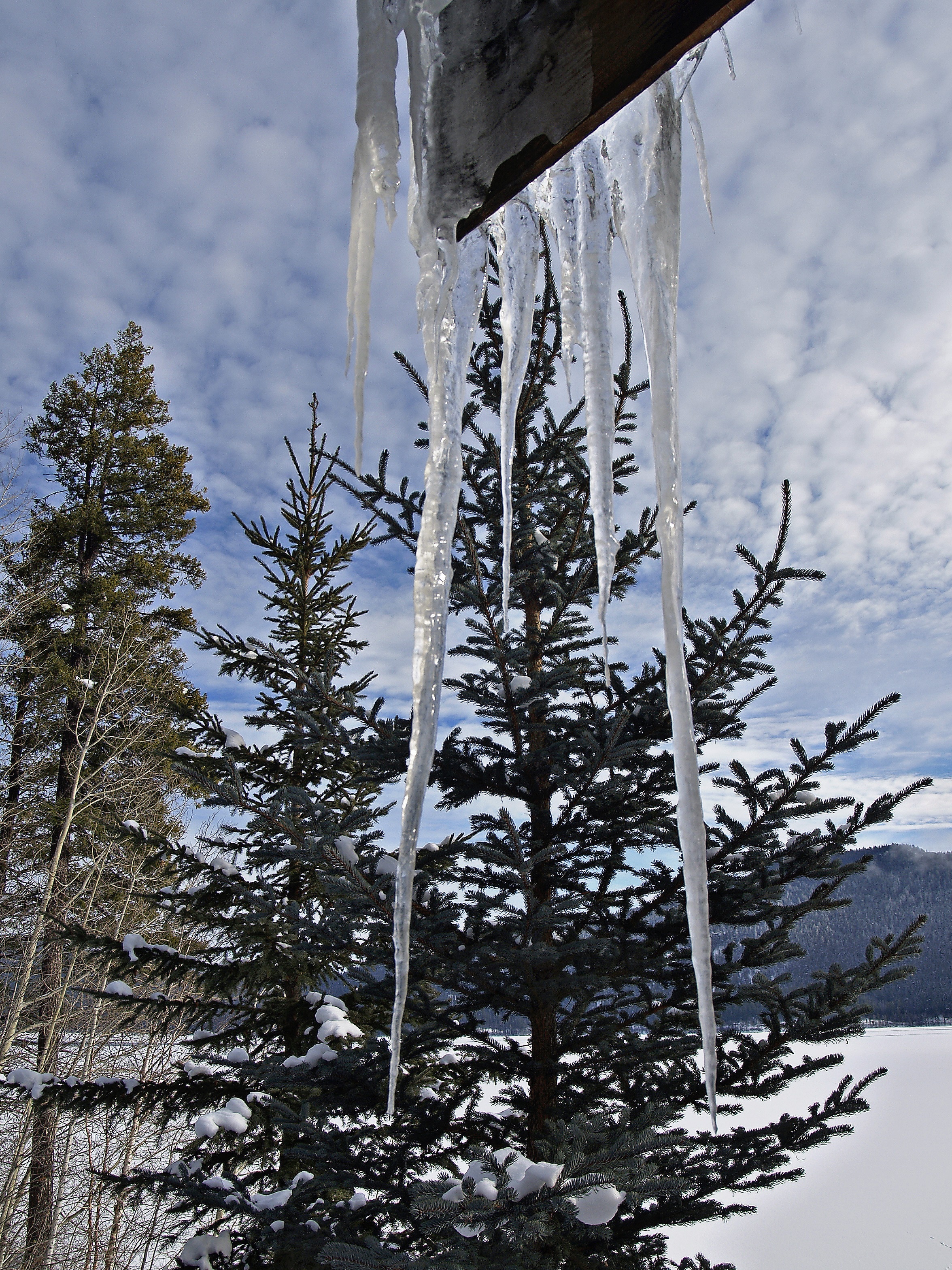 ice formation
