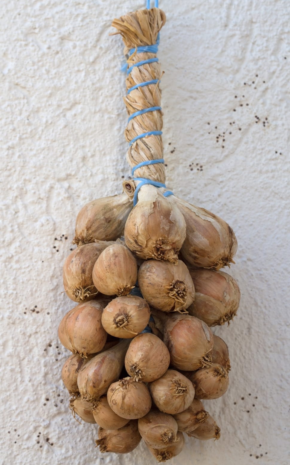 brown onions hanging decor preview