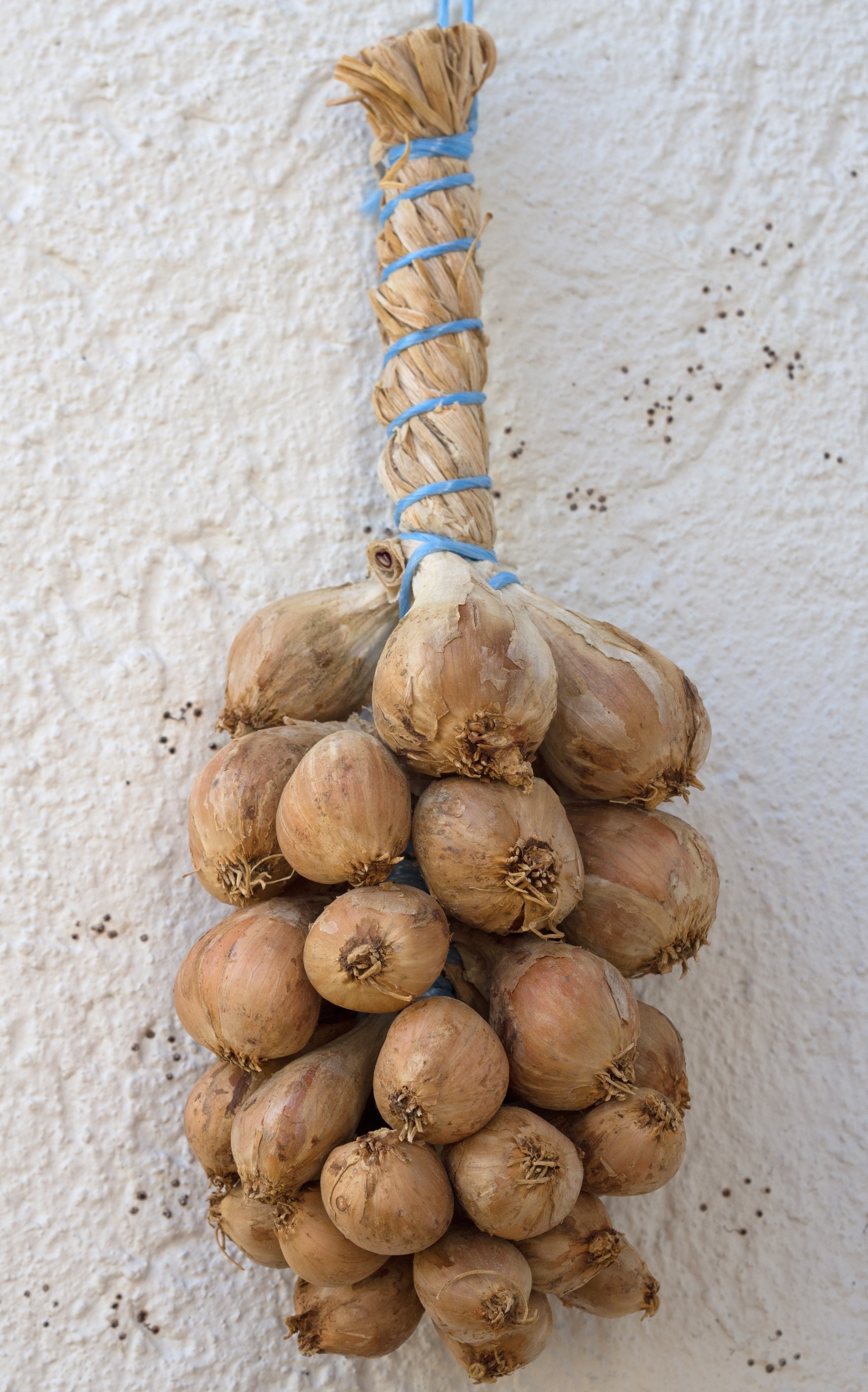 brown onions hanging decor