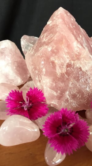 pink and white salt lamp and purple petaled flowers thumbnail