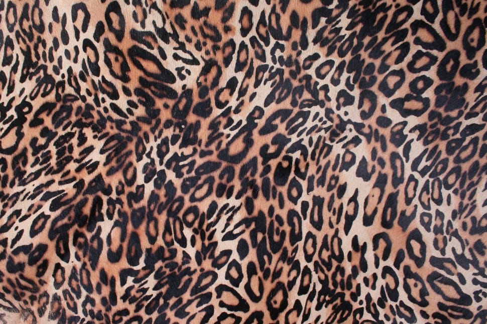black and brown leopard skin print textile preview