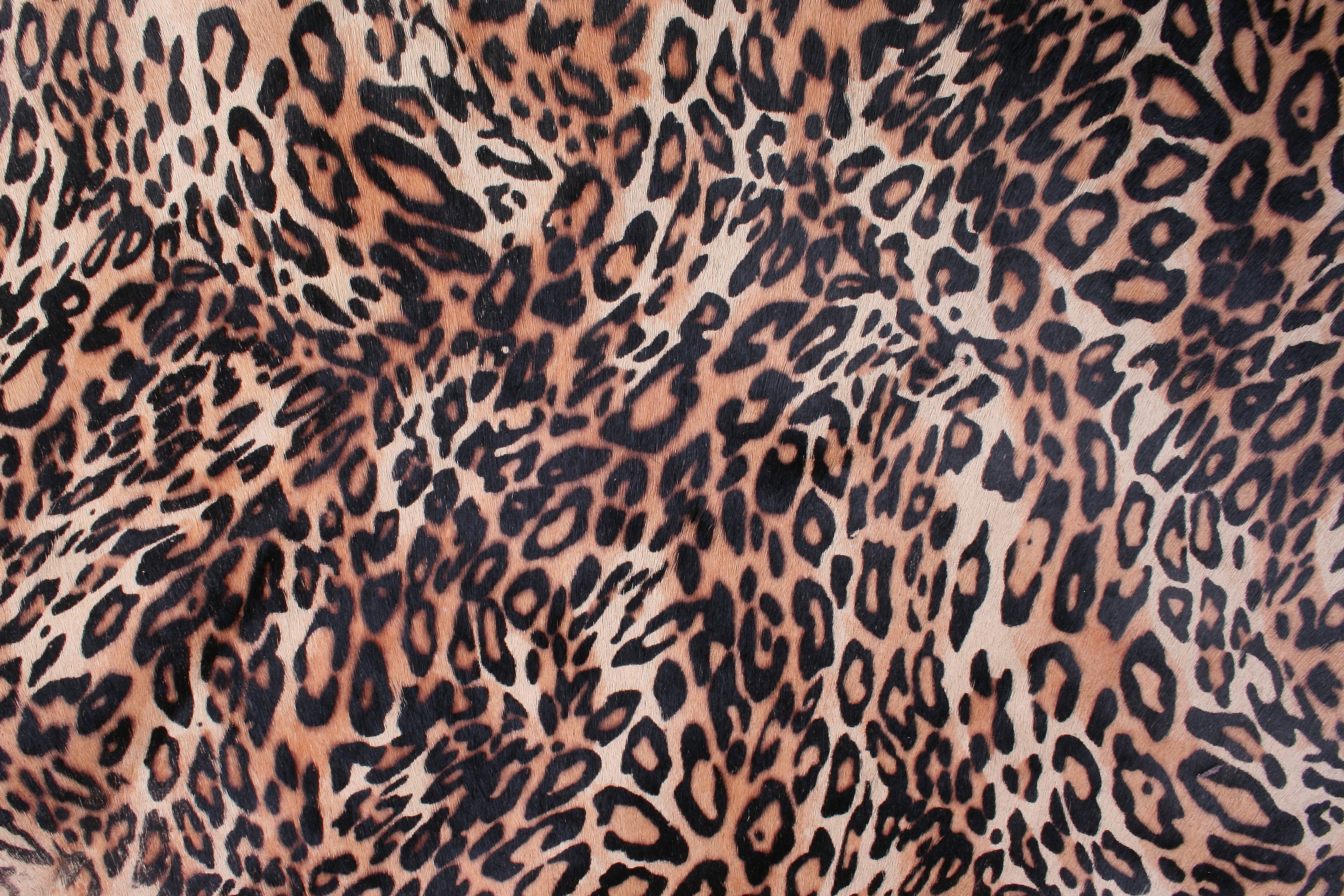 black and brown leopard skin print textile