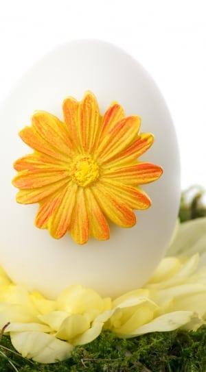 white egg with yellow flower decor thumbnail