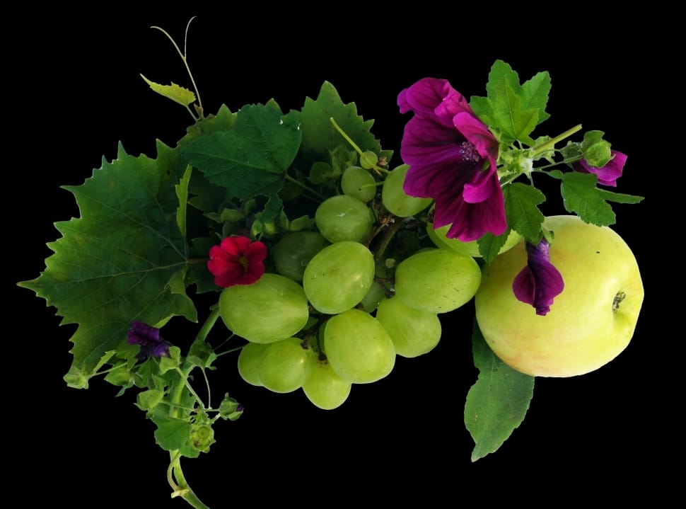 green grapes preview