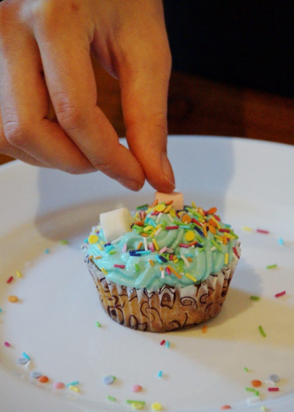cupcake with sprinkles preview