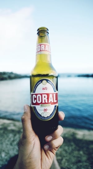 human hand holding 1872 coral cerveza bottle thumbnail