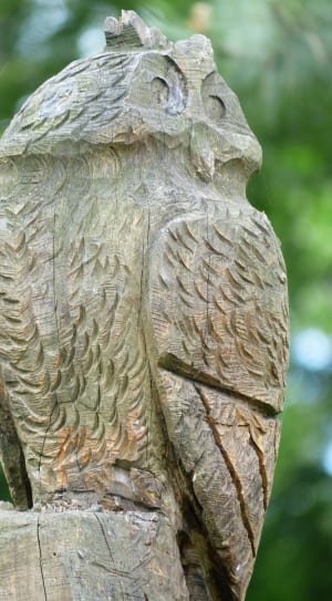 brown wooden owl sculpture thumbnail
