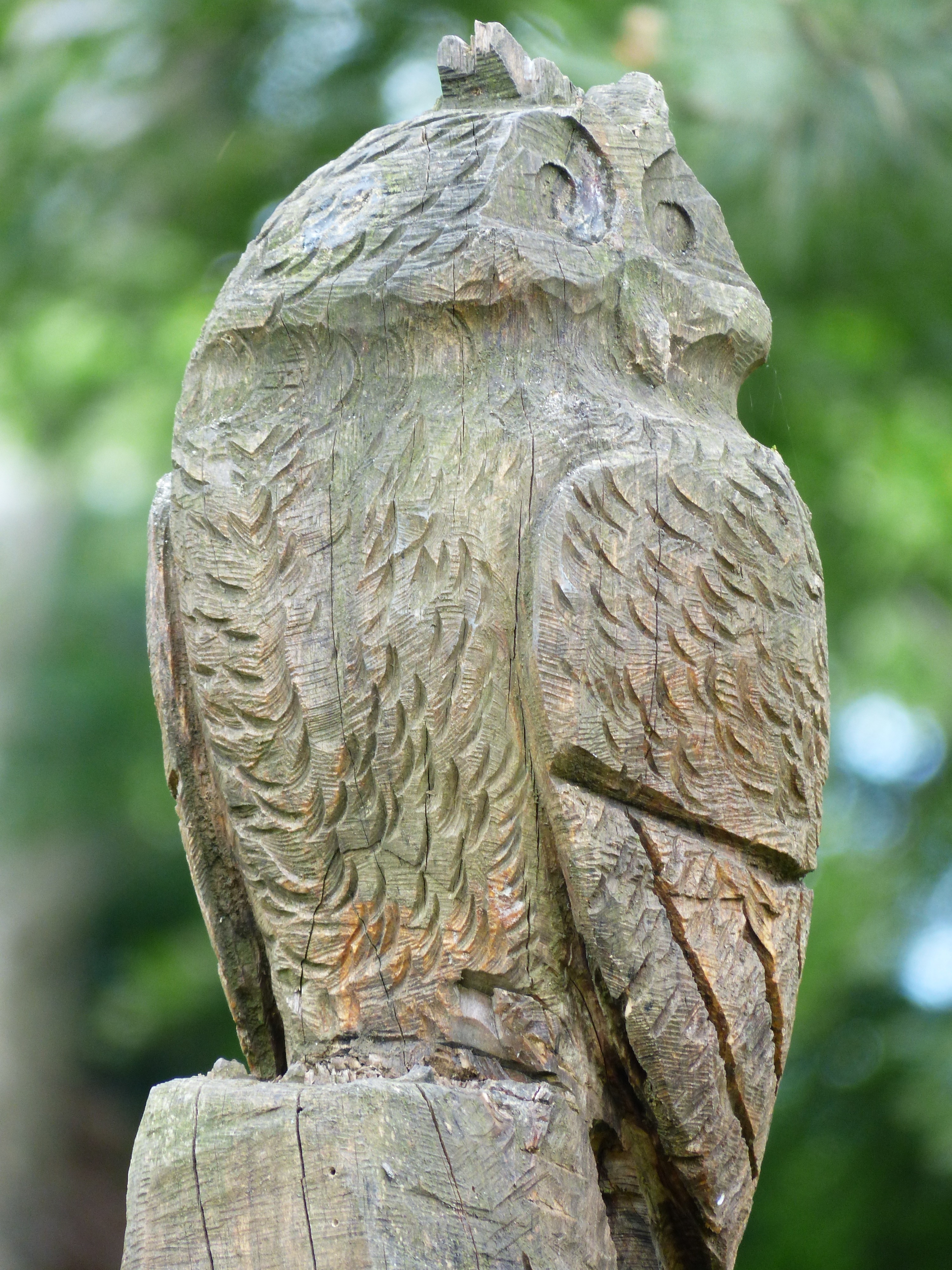 brown wooden owl sculpture