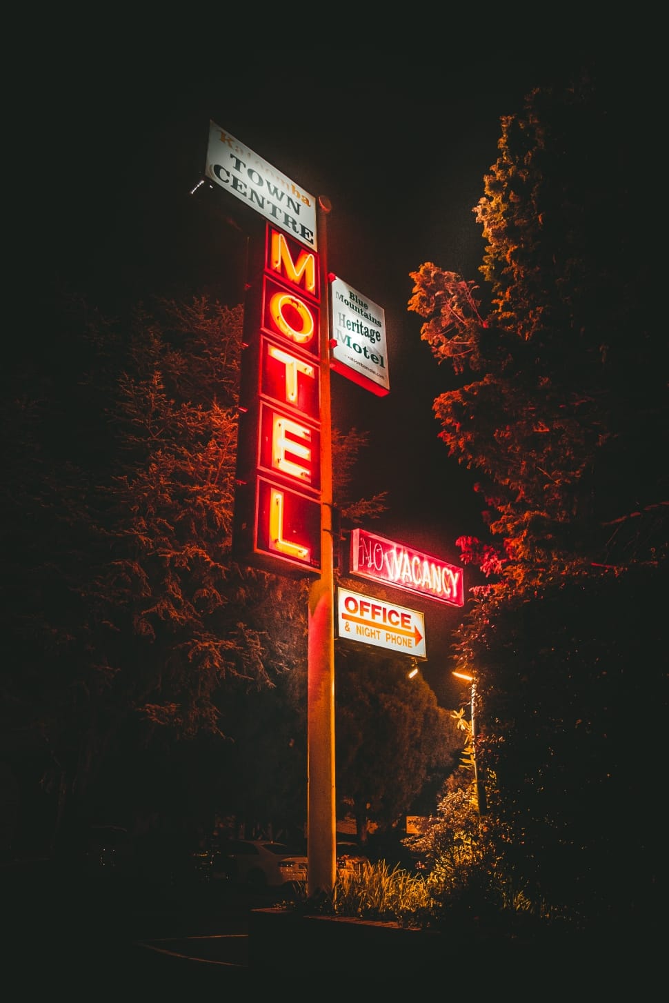 motel neon signage near green trees during night time preview