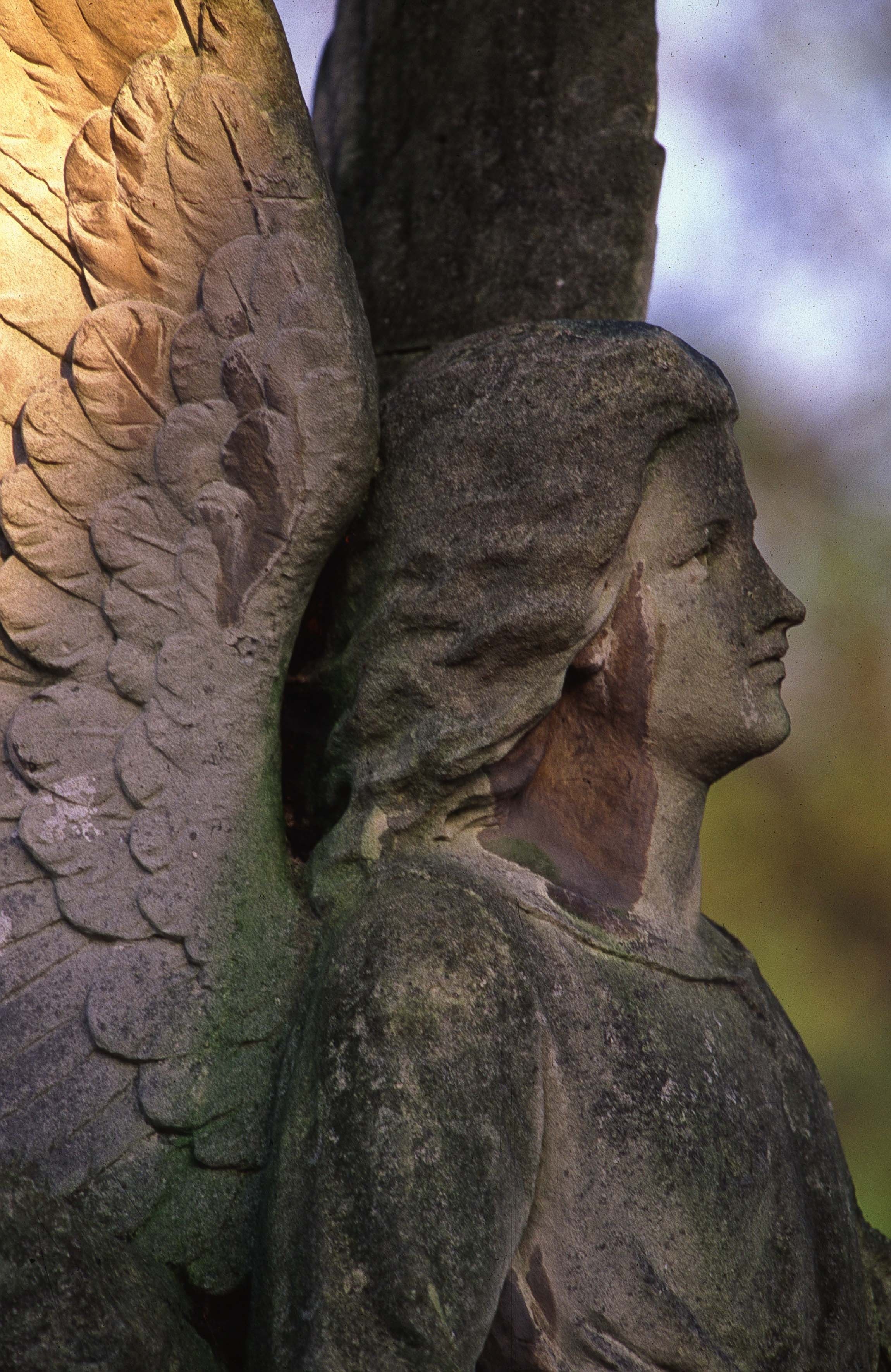 gray angel concrete statue