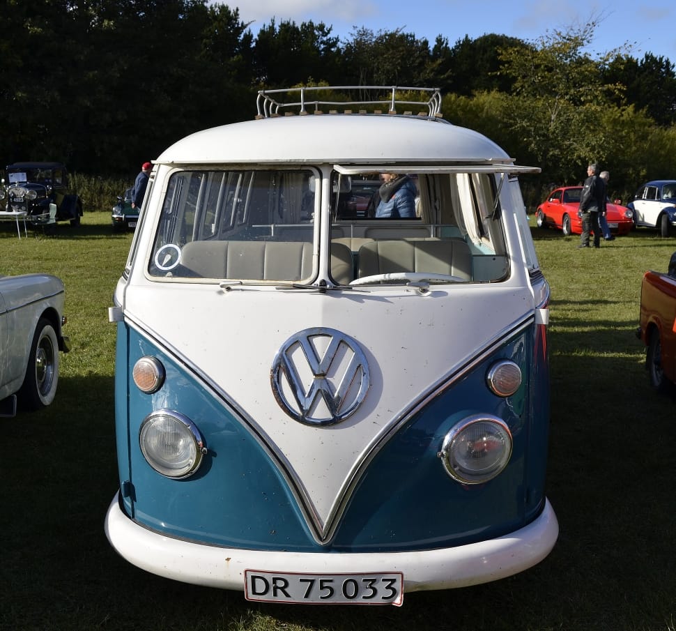 white and gray volkswagen t1 preview