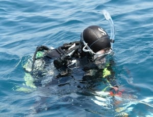 Diver on body of water thumbnail