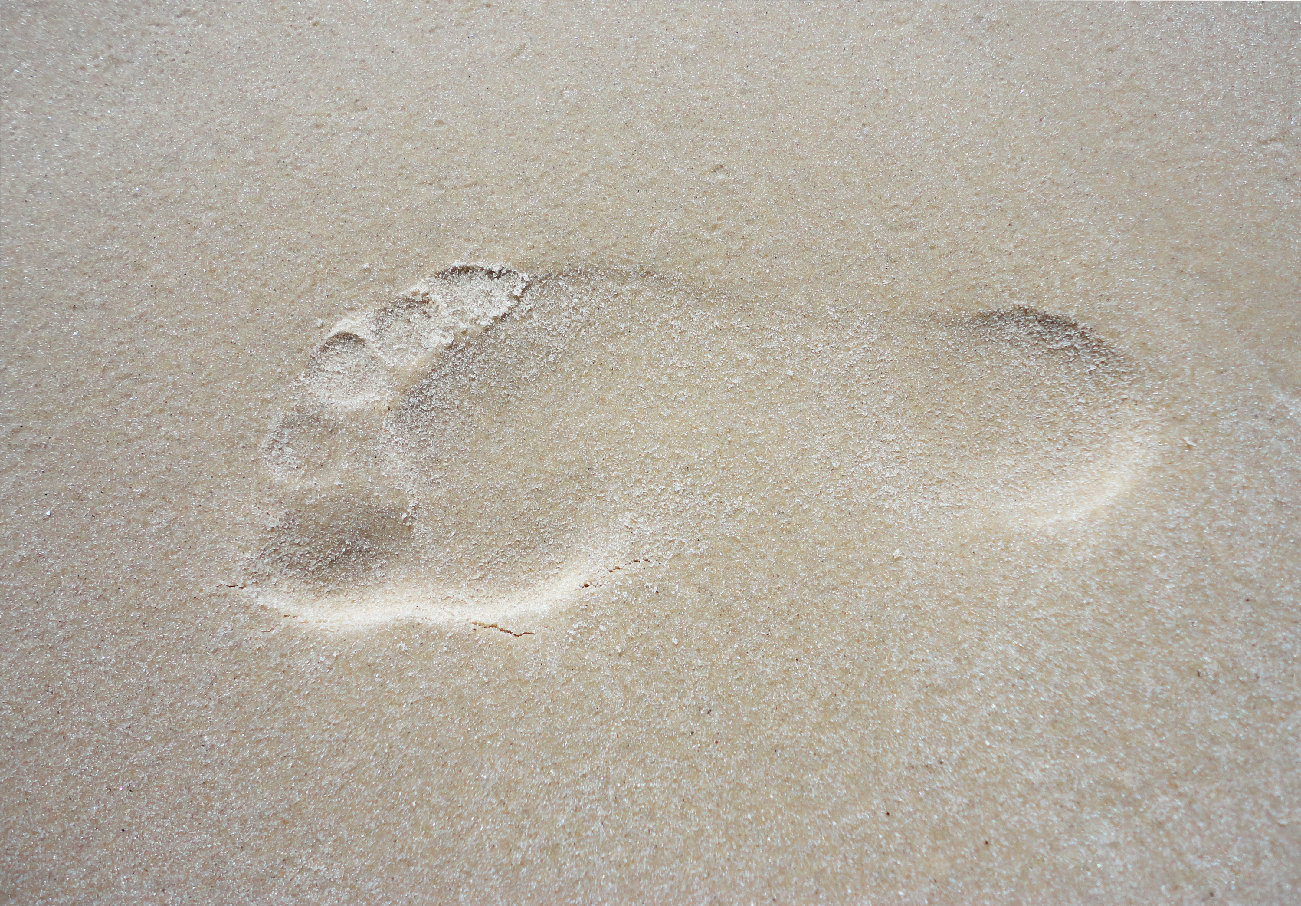 human foot print