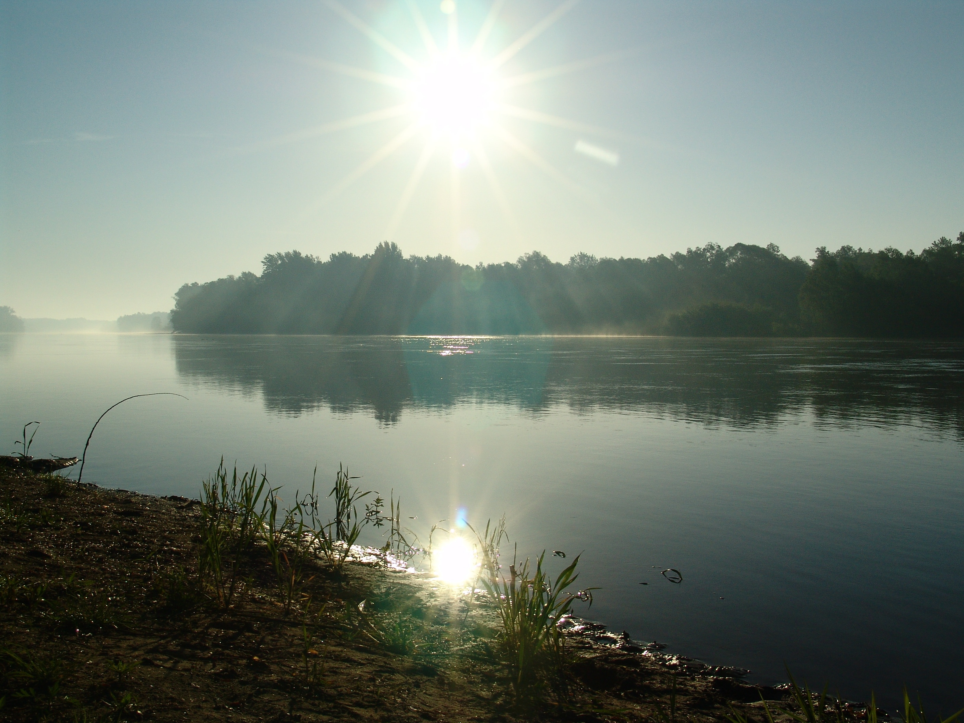Drava, Dawn, Fishing, Summer, River, reflection, lake