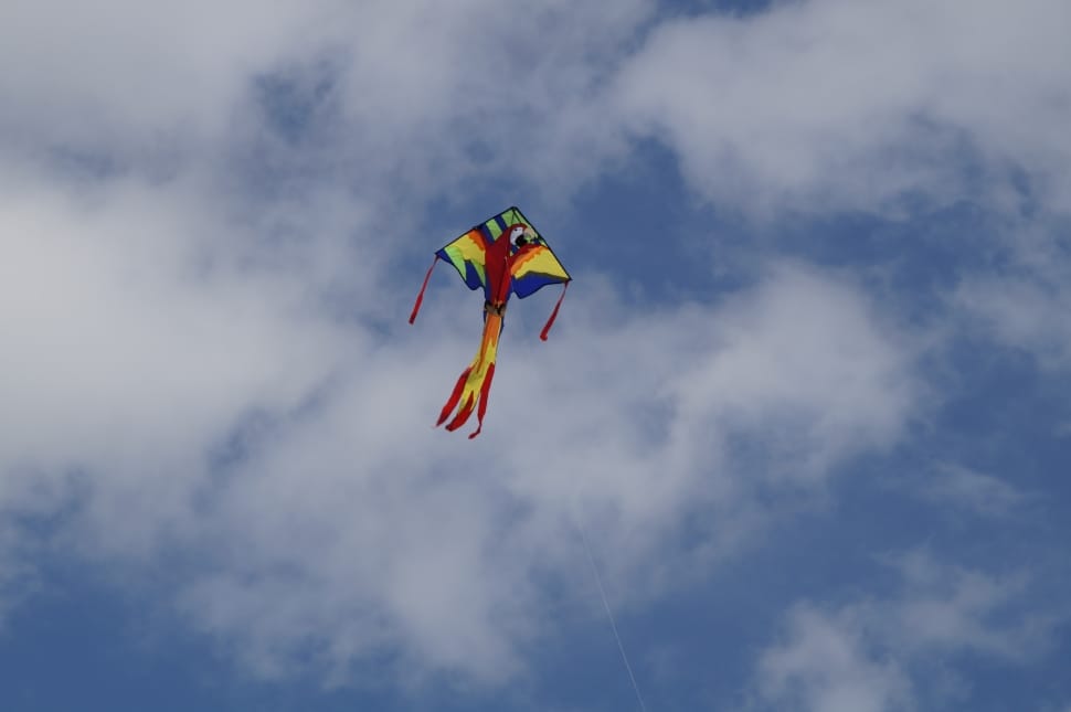 scarlet macaw kite on mid air under cloudy sky during daytime preview