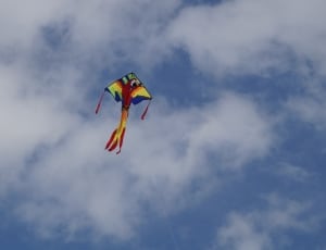 scarlet macaw kite on mid air under cloudy sky during daytime thumbnail