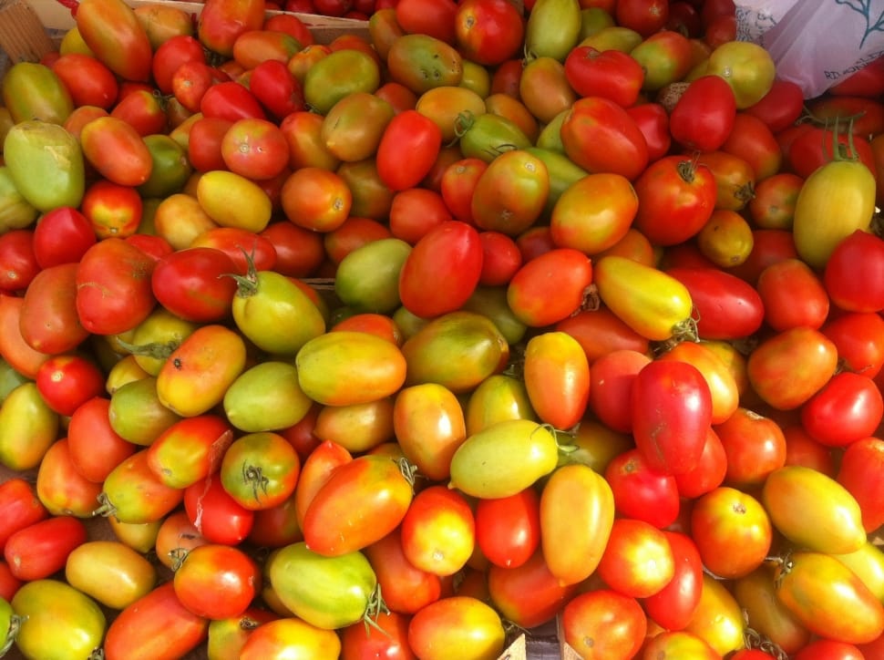 yellow and red tomatoes preview