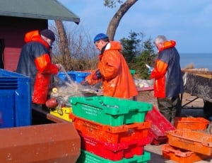 green red and orange plastic crates thumbnail