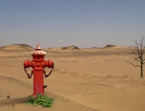red fire hydrant thumbnail