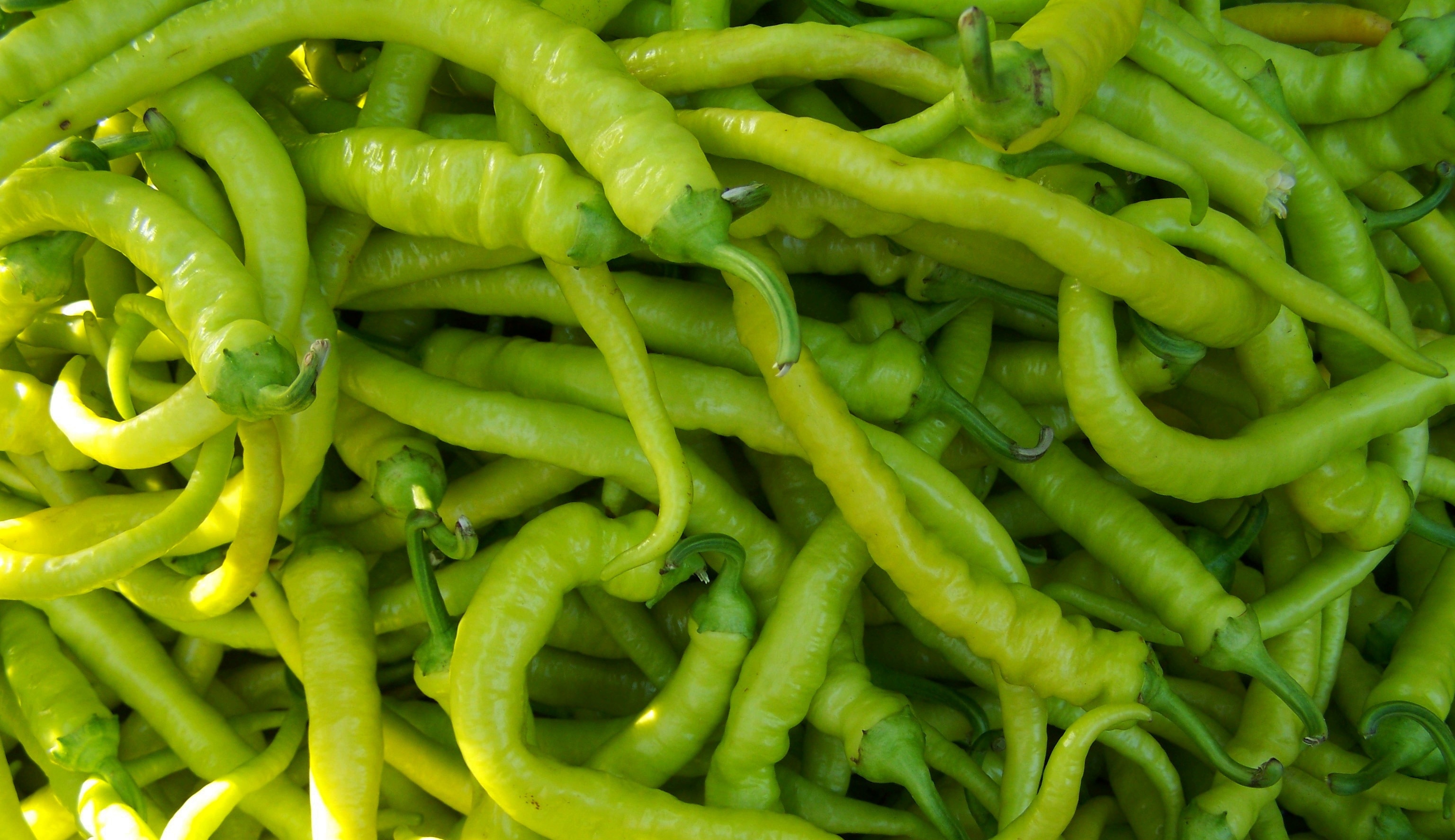 green chili