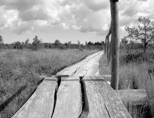 greyscale photo of an wooden bridge thumbnail