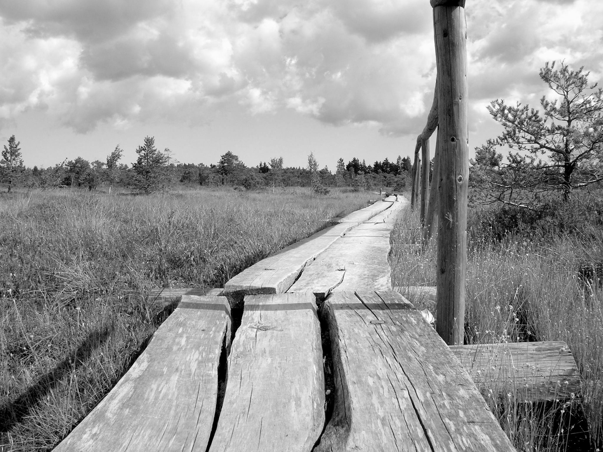 greyscale photo of an wooden bridge