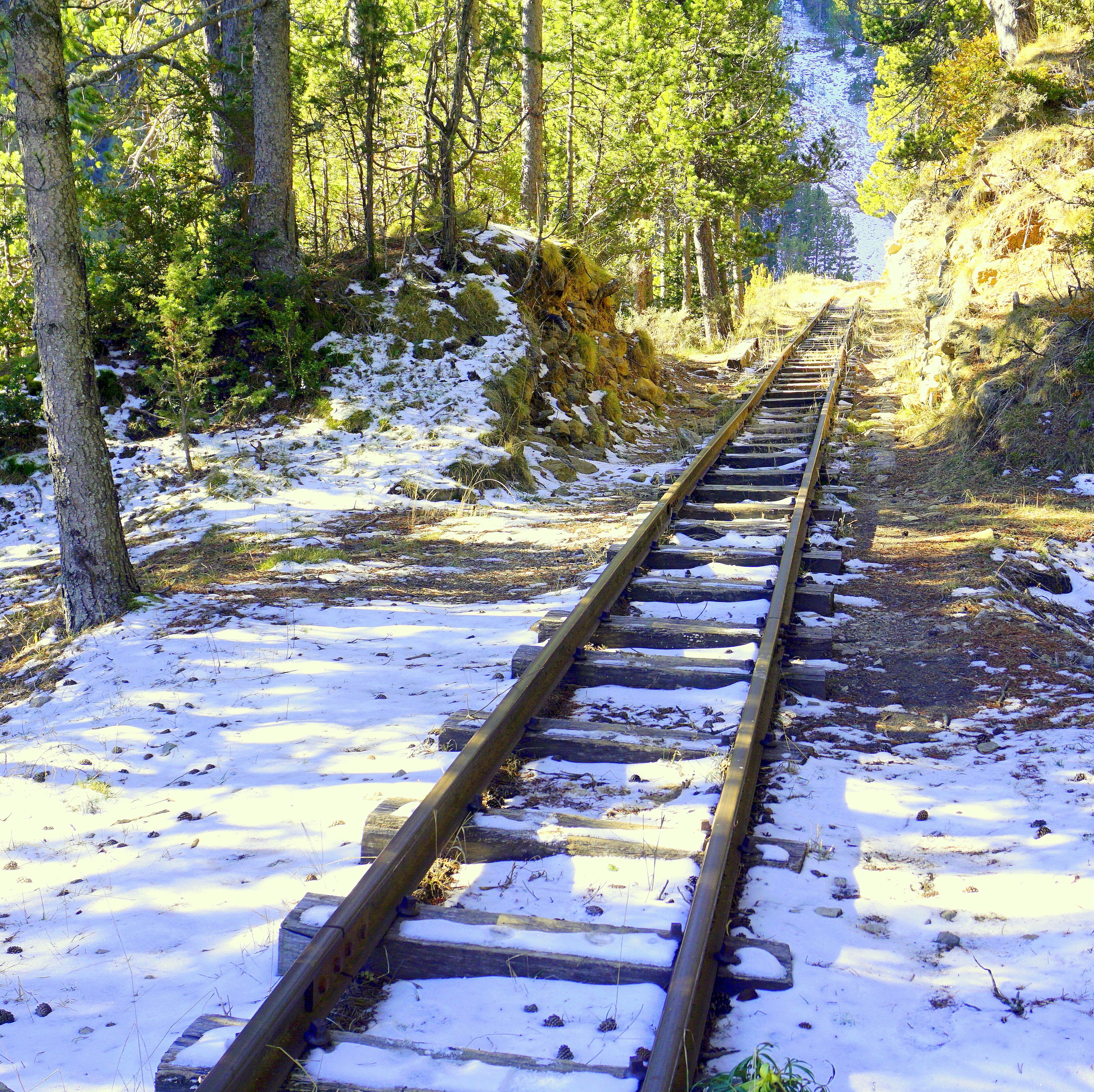 brown train track