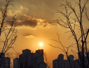 silhouette of buildings and trees during sunset thumbnail