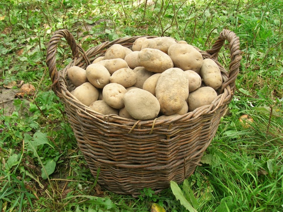potatoes in brown wicker basket preview