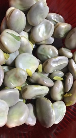 vegetable seeds thumbnail