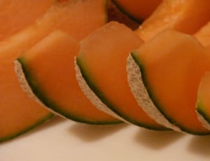 melon fruit thumbnail