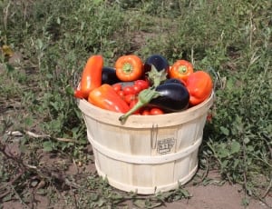 brown wooden basket with bell pepper and eggplant thumbnail