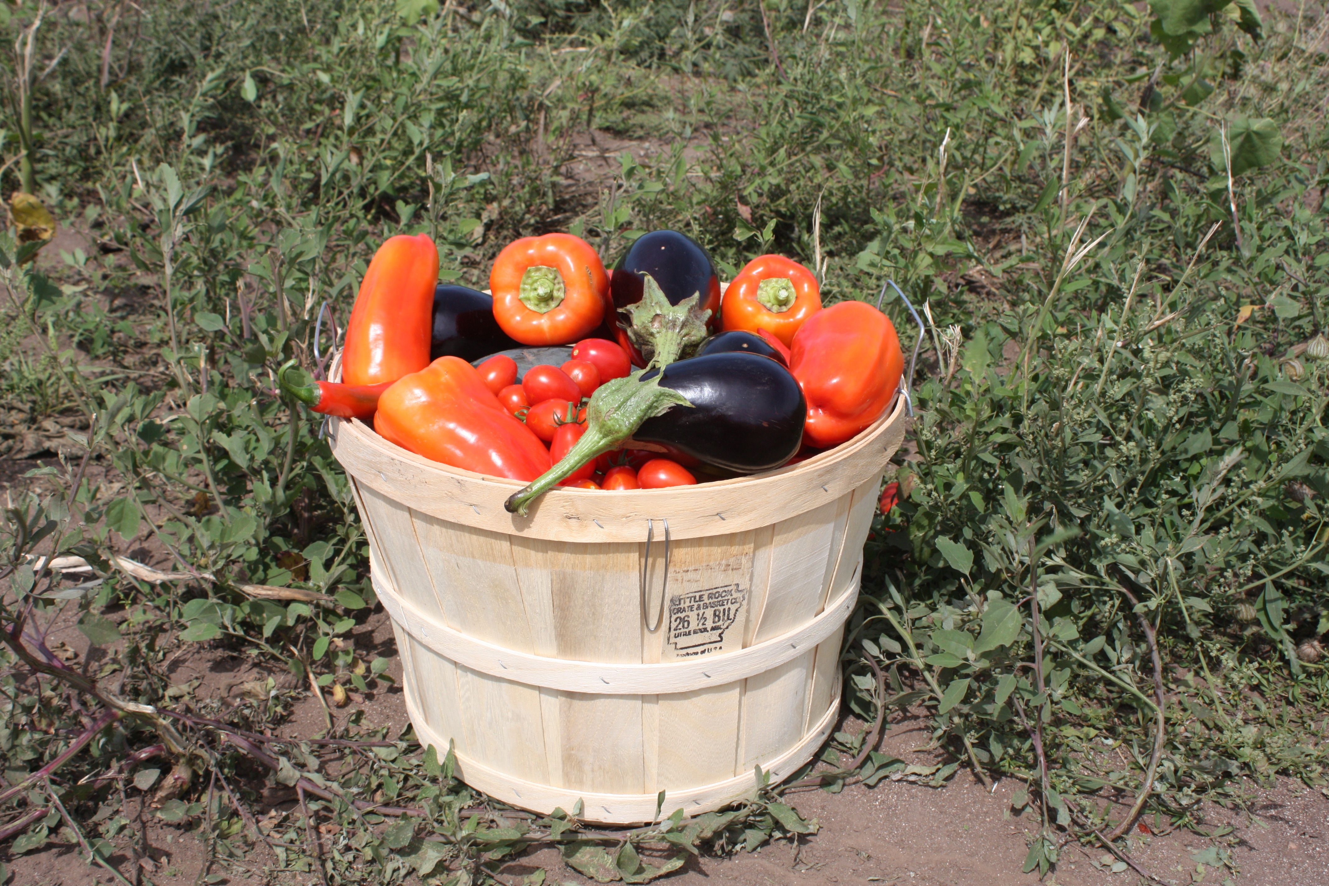 brown wooden basket with bell pepper and eggplant