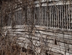 brown wooden plank fence and brown twigs thumbnail