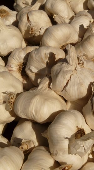 white garlics thumbnail