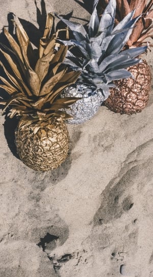three brown and gray pineapples on brown sand field thumbnail