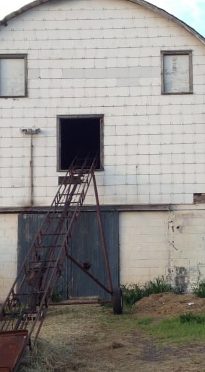 women's black tank top, beige barn and brown metal wheeled ladder thumbnail
