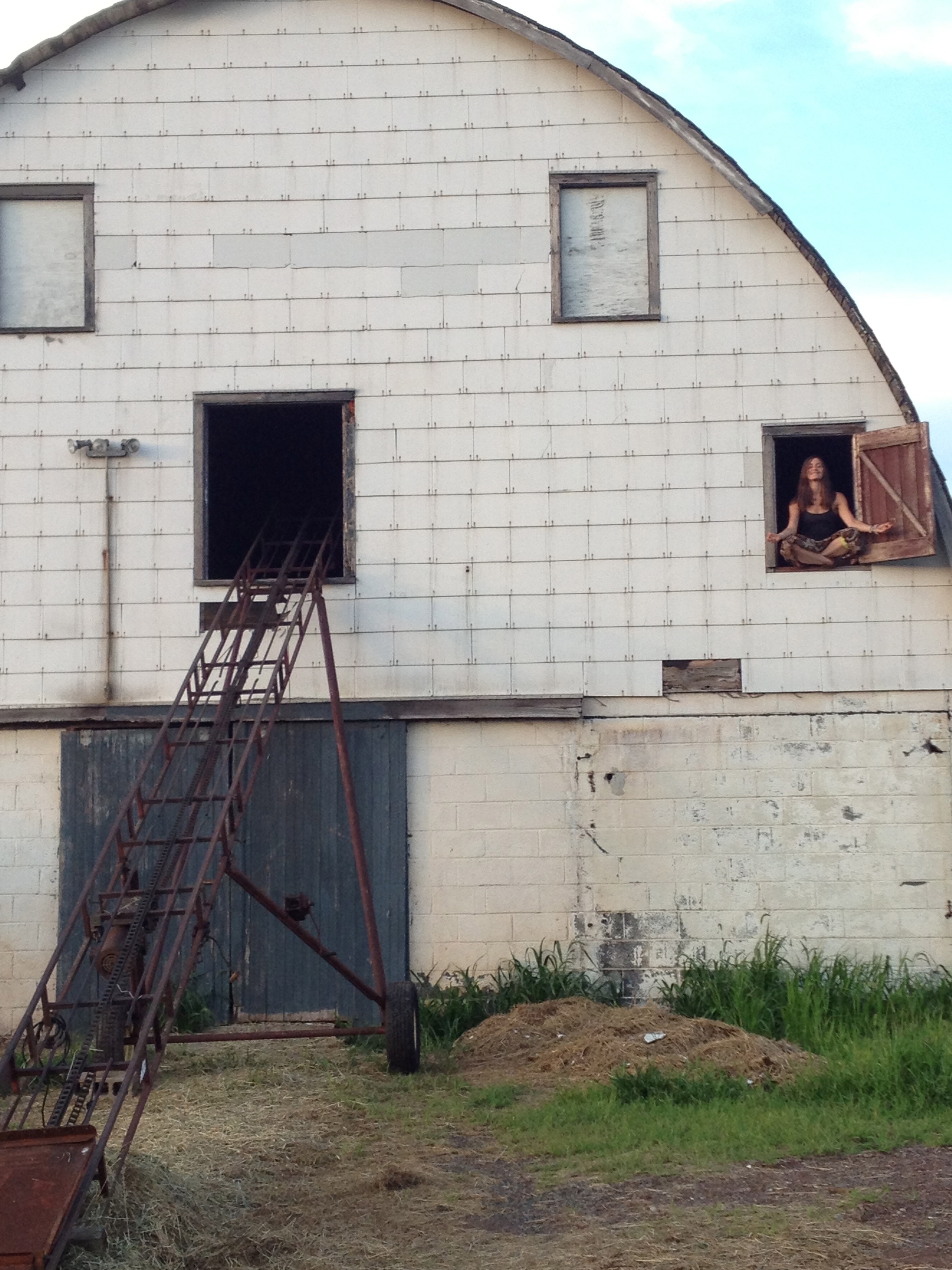 women's black tank top, beige barn and brown metal wheeled ladder